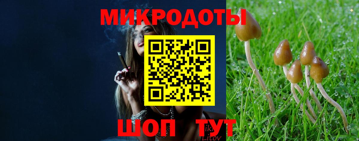 Псилоцибиновые грибы MAGIC MUSHROOMS  Вход с VPN  Печора 